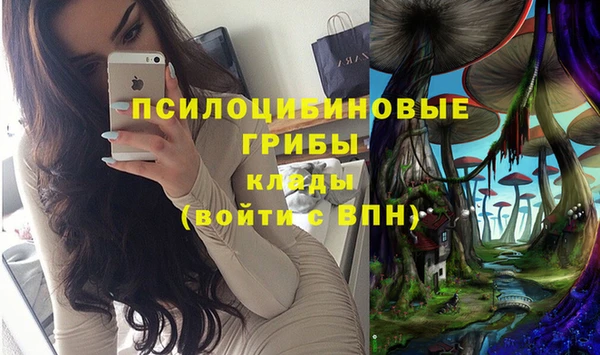 ПСИЛОЦИБИНОВЫЕ ГРИБЫ Алексеевка