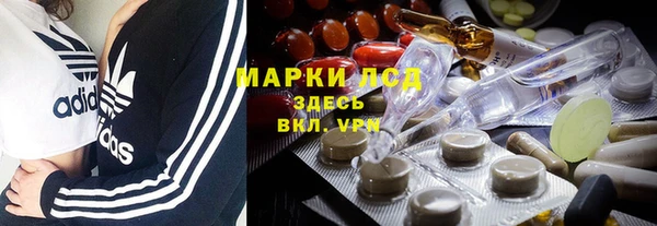 прущий лед Алзамай