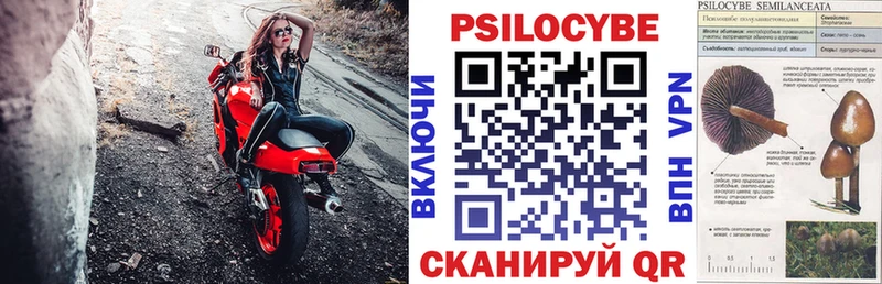 закладка  маркетплейс состав  Псилоцибиновые грибы прущие грибы  Волоколамск 
