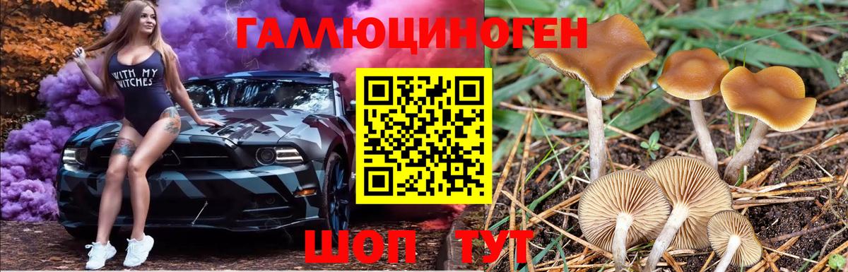 Псилоцибиновые грибы GOLDEN TEACHER  Вход с VPN  Волоколамск 
